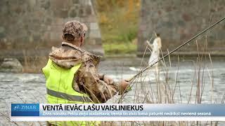 ReTV: Ventā ievāc lašu vaisliniekus