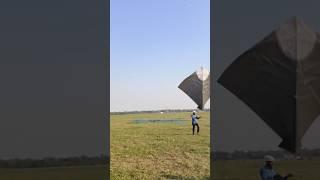 Tauk Kite flying-kite testing -pro kite fighting#kite #patang #shorts ⭐⭐⭐⭐⭐⭐⭐⭐⭐