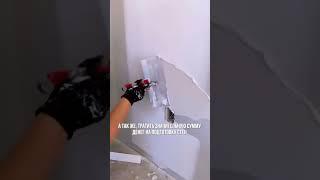 Обои или покраска стен в новостройке: что лучше?