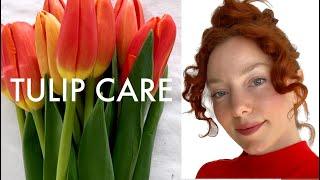 TULIP CARE - Floral Design For Beginners | FLORA LUX