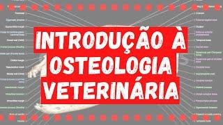 OSTEOLOGIA VETERINÁRIA (Parte 1)