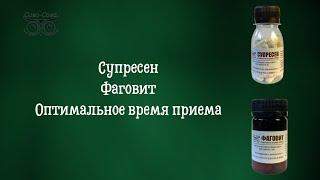 Оптимальное время приема Супресена и Фаговита | Компания Сово-Сова