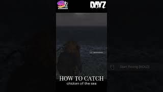 NEW FISHING GUIDE  DAYz How To Catch More Than Fish WITH NEW LURE! Tips & Tricks #gaming #tutorial