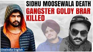 Sidhu Moose Wala Death: Mastermind Goldy Brar killed in the U.S | Know More | Oneindia News