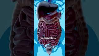 Gut Health and the Importance of the Vagus Nerve, Harvard Psychiatrist, Dr Naidoo explains.