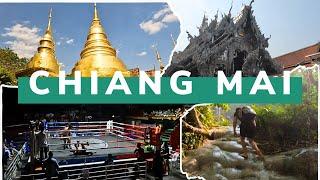 Chiang Mai: Sticky Waterfalls, Stunning Temples, and Muay Thai Madness