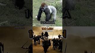 1 Gorilla vs 100 Men