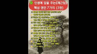 #채근담 #동양 명언 #인생명언 #지혜로운 삶 #고전에서배우다 #채근담명언 #마음공부
