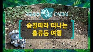 [가야산국립공원] 소리따라 숲길따라 떠나는 홍류동 여행