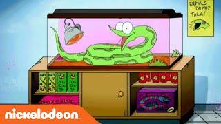 Sanjay and Craig | Official Theme Song | Nick