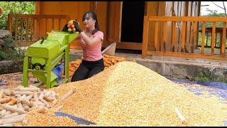 Buying rice plants, releasing fish into the fields, harvesting corn, luffa, from a girl named Binh