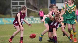 Wodonga Junior Bulldogs 2018