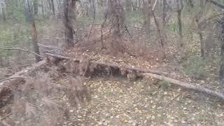 Place where I made Winter survival