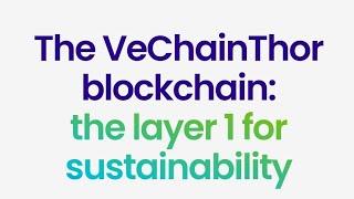 Why VeChain $vet Could Be Your Next Big Investment - Don't Miss Out! 