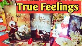 ️Their True Feelings️ Messages From Your Person Timeless Tarot Reading