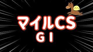 レース【マイルCS GⅠ 2024.11.17】G1は8枠激アツ3連複5点勝負！！