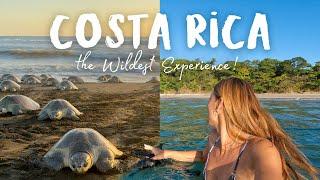 Travel Vlog | the CRAZIEST wildlife experience!