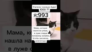 Очень дорого #мем #мемы #fypシ #meme #memes #логика #кот #котик #кошка #кошечка #видео #лайк