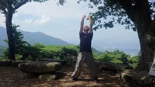 F i v e A n i m a l Q i g o n g - Chen Taiji Bern - Taiji | Qigong | Kungfu