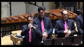 CIBM 2014 - Festival Brass Band - Enter The Galaxies