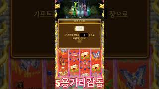 황금성 릴게임 대충 돌려도 5용가리 연타 가즈아~ #릴게임 #황금각인 #slot #릴게임종류