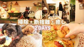 【2日間VLOG】キッチンの整理整頓で心地よく過ごす/おすすめ家電/愛犬たちへのXmas大作戦？/米粉の簡単朝食