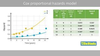 The Cox proportional hazards model explained