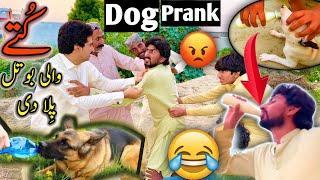 Kuty Wali Botal Pela Di لڑائی ہوگئی Dog Prank  