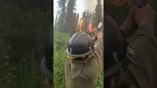 Firefighter uses flare gun to ignite fuels in a successful defensive burning operation