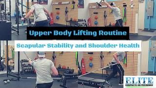 Upper Body Lifting Routine for Shoulder Health and Scapular Stability | Chesterfield Chiropractor