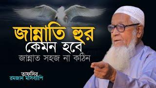 জান্নাতি হুর কেমন হবে | জান্নাত সহজ না কঠিন | আল্লামা লুৎফর রহমান ওয়াজ | Allama Lutfur Rahman Waz