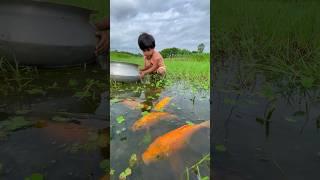 Amazing village cute girl catching fish in rainwater #fishing #fishvideo #shorts