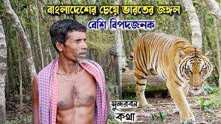 বাংলাদেশের চেয়ে ভারতের জঙ্গল বেশি বিপজ্জনক | sundarban tiger attack |  sundarban jungle adventure