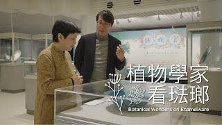 【文藝話匣子Art Encounters - 劉大偉 David Lau】 植物學家看琺瑯 Botanical Wonders on Enamelware