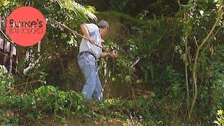 Burke's Backyard, War on Weeds