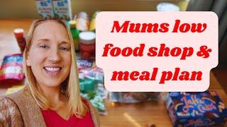 A very low budget grocery haul for a single Mum