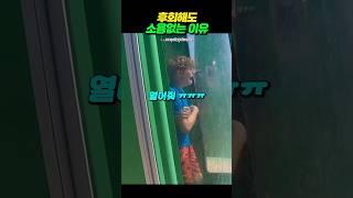 인생에서 후회해도 소용없는 이유