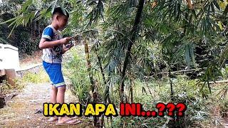 MANCING JORAN HAMPIR PATAH #mancing #ngakak