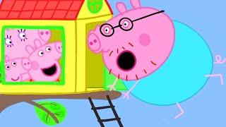 Peppa Pig English Episodes | Peppa Pig's Secret Word for Her Tree House: Daddy's Big Belly