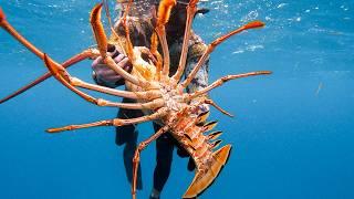 GIANT LOBSTER! (Bahamas Spearfishing Catch & Cook)