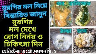 মুরগির পায়খানা দেখে রোগ নির্নয় ও চিকিৎসা দিন।ভালো খারাপ মল নিয়ে বিস্তারিত জানুন।Poultry dropping