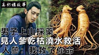 民間故事：男子上山採藥，見人參乾枯澆水救活，人參：我救了你命｜高朗講故事