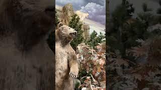 Cabela’s taxidermy animals