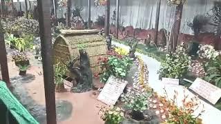 Thread Garden | Ooty Diaries | Handcrafted beauty | Prisci Pearl