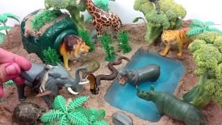 ZOO Wild Animals In Jungle Safari/Learn Names and Sounds of Forest Animals With Scheich Toys