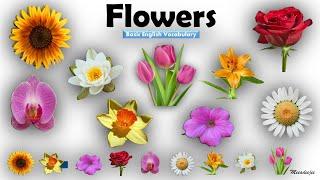 Flowers Name | Learn Flowers Name in English | Flowers Name Basic English Learning [Unit # 07]