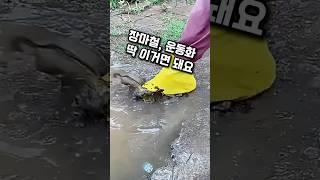 장마철에 운동화 방수커버 하나 장만하세요