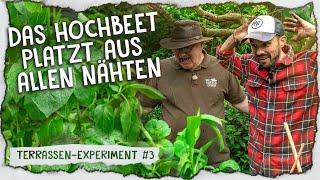 Unser Hochbeet im Mai & Kräuterbeet anlegen  - Pikieren, anhäufeln & auspflanzen