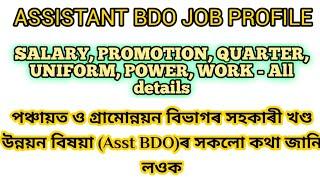 ASSISTANT BDO JOB PROFILE | Salary, Promotion, Work, Power, Transfer, Quarter All Explained | P&RD