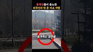 중국인들이 분노한 외국인의 한중여행 비교 영상